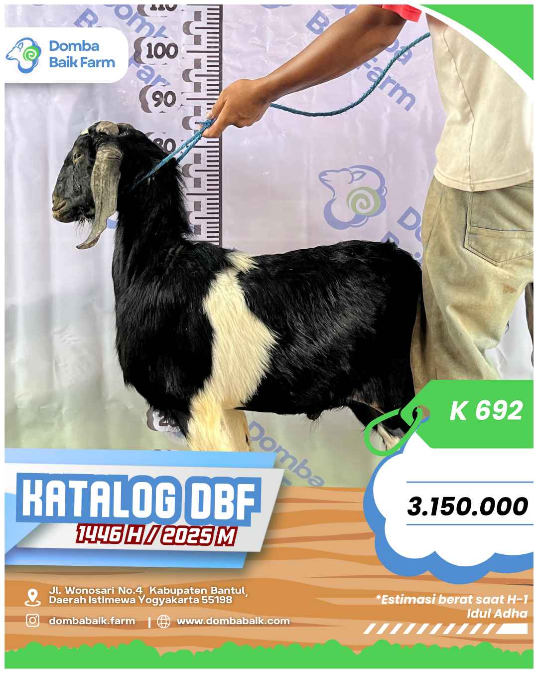 3 Alasan Beli Qurban di Domba Baik Farm