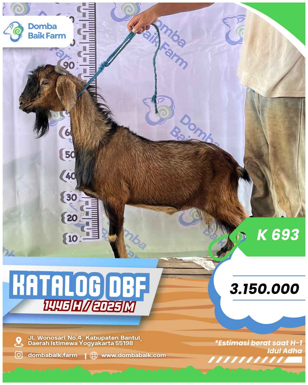 Jasa Antar Hewan Qurban Gratis Area Bantul