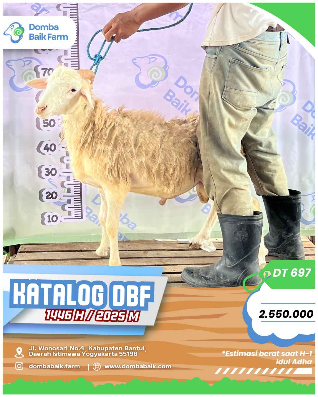 5 Alasan Penting Mengapa Muslim Wajib Berqurban | Dombabaik.com