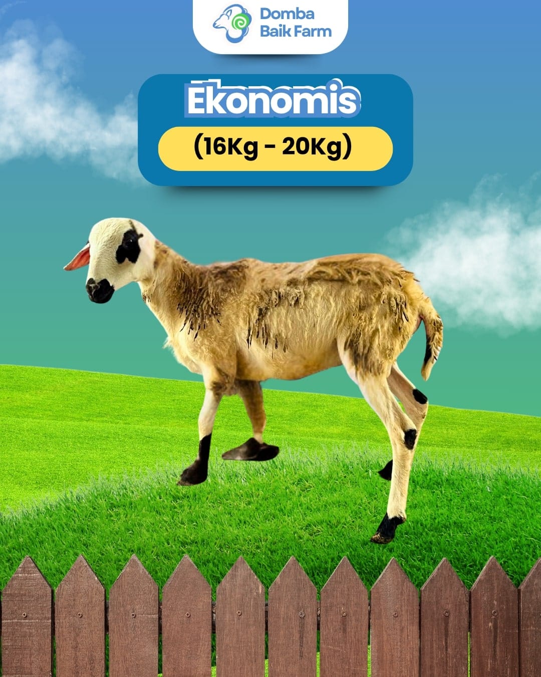 Aqiqah 3 Anak: Panduan Lengkap Jumlah Kambing untuk Ayah Bunda!