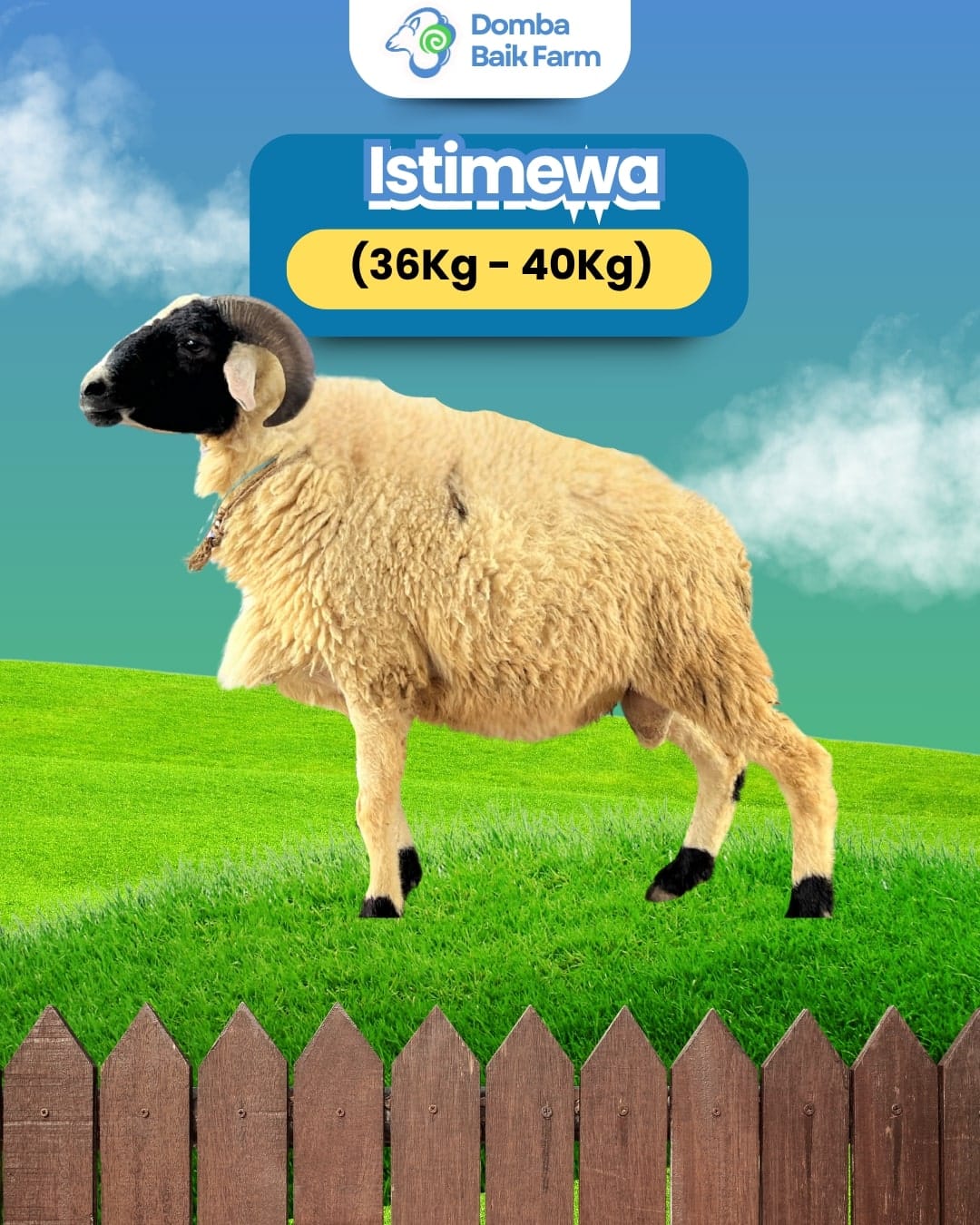 3 Tanda Kambing Aqiqah Sehat & 7 Syarat Wajib Lolos Ayah Bunda!